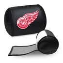 Detroit Red Wings Logo Panel