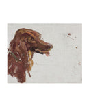 Dog Study