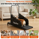 Dog Treadmill with Remote Control and LCD Display by LJGDeals
