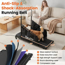 Dog Treadmill with Remote Control and LCD Display by LJGDeals