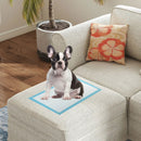 Dog and Puppy Pee Pads 18" x 13" (300 Counts) for Potty Training-Blue by LJGDeals