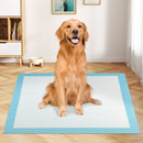 Dog and Puppy Pee Pads 36" x 36" (100 Counts) for Potty Training-Blue by DirectDeals