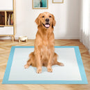 Dog and Puppy Pee Pads 36" x 36" (100 Counts) for Potty Training-Blue by LJGDeals