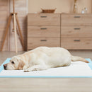 Dog and Puppy Pee Pads 36" x 36" (100 Counts) for Potty Training-Blue by DirectDeals