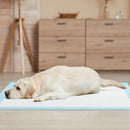 Dog and Puppy Pee Pads 36" x 36" (100 Counts) for Potty Training-Blue by LJGDeals