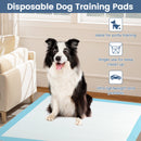 Dog and Puppy Pee Pads 36" x 36" (100 Counts) for Potty Training-Blue by DirectDeals