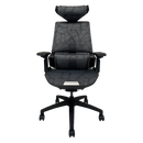 Draco Mesh Gaming Chair with Adjustable Arms & Headrest 350Lb Weight Capacity