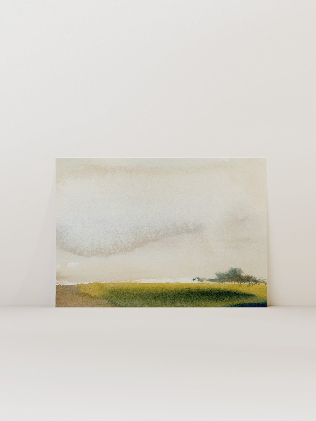 Dream Meadow, photo 2 of 12
