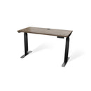 Atlas 48" Motorized Height Adjustable Standing Desk