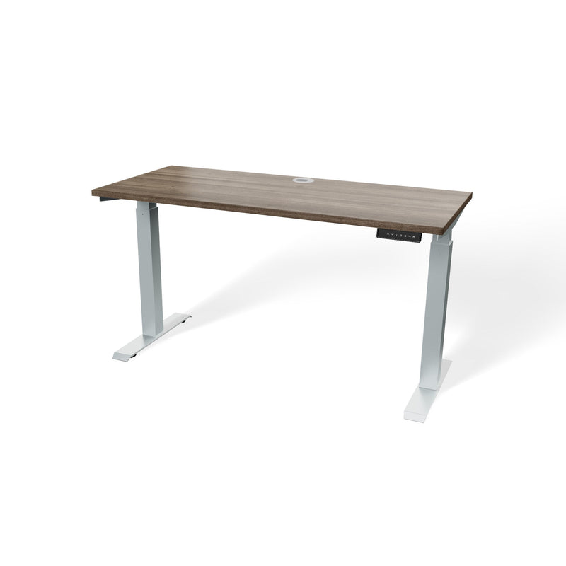 Atlas 54" Electric & Adjustable Stand-Up Computer Desk