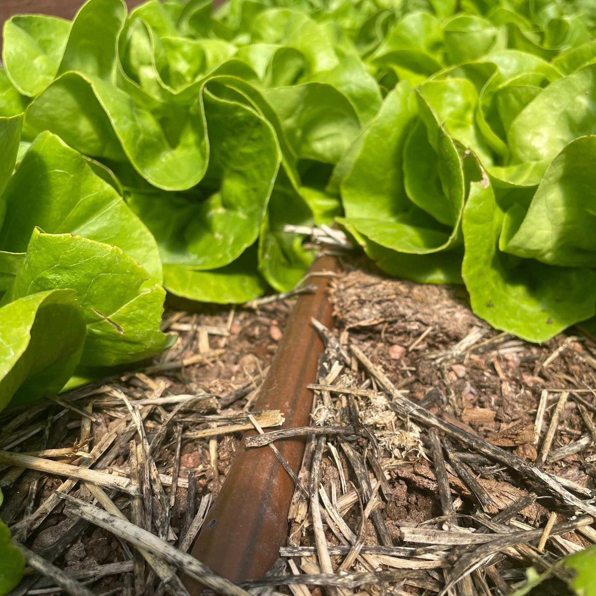 Bootstrap Farmer Greenhouse Drip Irrigation Kit, photo 8 of 9
