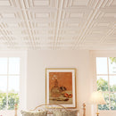 Drop Ceiling Tiles 24" x 24" PVC Ceiling Panels with 3D Decorative Patterns 12-Pack-White