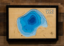 Duck (Blue Earth)