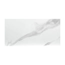 MSI Dymo Statuary Glossy Ceramic Wall Tile 12x24