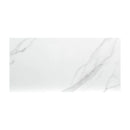 MSI Dymo Statuary Glossy Ceramic Wall Tile 12x24