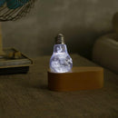 EP LIGHT - 3-Pack Flower Bulbs by EP Designlab LLC