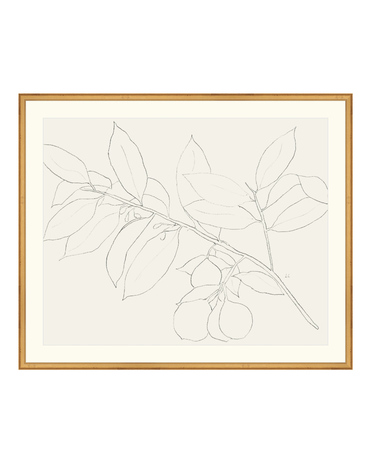 Lemon Branch Drawing, photo 12 of 42