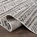 Catrine Indoor & Outdoor Rug - Clearance
