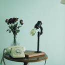 EP Light - White Hydrangea by EP Designlab LLC