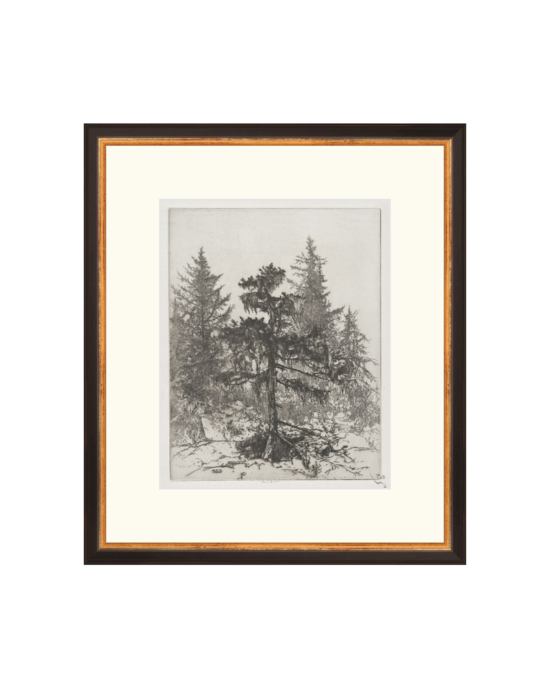 Pine Etching