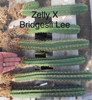 #EC185 Trichocereus Hybrid BARGAIN SPECIAL (1 unit) Cactus Bare Root Specimens