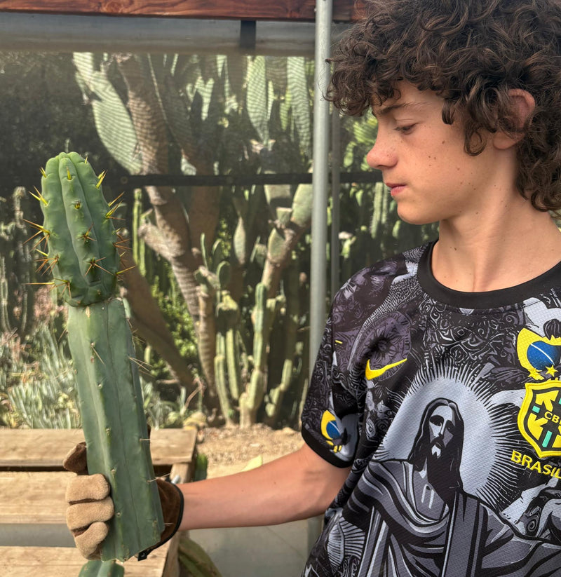#EC286 Beau’s Exact Trichocereus Cactus Cutting Page