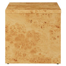 Hudson 1-Drawer Burl Wood Nightstand by Modway by HouseOfZazla