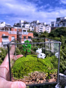 Handmade Glass Terrarium Mossbox Happy Chubby Cow Micro Landscape with Unique Artisan Design