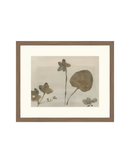 Botanical Thoughts III