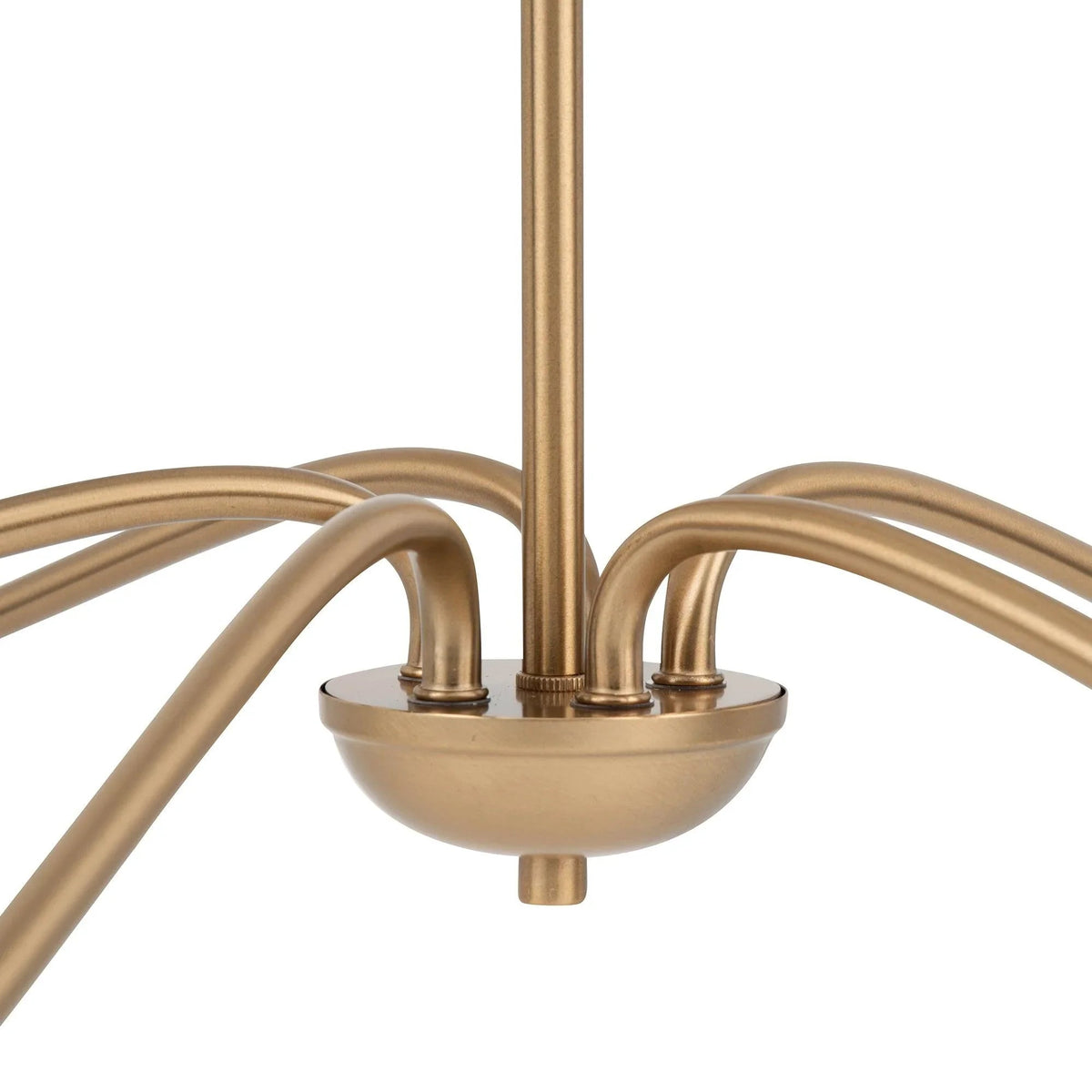 Ellie 5-Light Elegant Industrial Dimmable Chandelier, photo 18 of 20