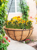 Coconut Liners for Wire Hanging Baskets - 4 Pack by EnvelorHome