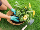 Coconut Liners for Wire Hanging Baskets - 4 Pack by EnvelorHome