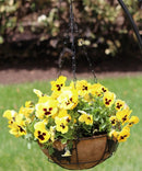 Coconut Liners for Wire Hanging Baskets - 4 Pack by EnvelorHome