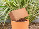 Coir Growing Medium Coco Potting Soil 1.5-lb Block by EnvelorHome