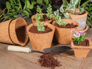 Coco Pot 6 Inch Top Diameter - 5 Pack by EnvelorHome