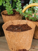 Coco Pot 6 Inch Top Diameter - 5 Pack by EnvelorHome