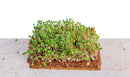 Coco Coir 10" x 20" Grow Mats by EnvelorHome