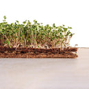 Coco Grow Mats 4 x 4 Feet Roll by EnvelorHome
