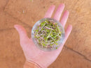 Coco Coir 9" x 9" Grow Mats by EnvelorHome