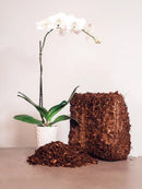 Coconut Coir Husk Chips Coco Mulch by EnvelorHome