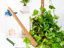 Coco Moss Poles Vine Plant Support by EnvelorHome