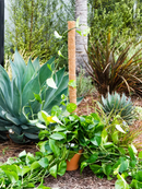 Coco Moss Poles Vine Plant Support by EnvelorHome