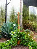 Coco Moss Poles Vine Plant Support by EnvelorHome