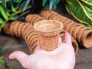 Coco Seed Starter Cup 2.5 Inch Diameter - 36 Pack by EnvelorHome