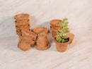 Coco Seed Starter Cup 2.5 Inch Diameter - 36 Pack by EnvelorHome