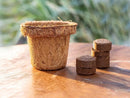 Coco Seed Starter Cup 2.5 Inch Diameter - 36 Pack by EnvelorHome