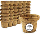 Coco Seed Starter Cup 2.5 Inch Diameter - 36 Pack by EnvelorHome