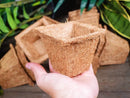 Coco Coir Seed Starter Germination Cups - 4 inches, 20 Pack by EnvelorHome