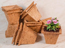 Coco Coir Seed Starter Germination Cups - 4 inches, 20 Pack by EnvelorHome