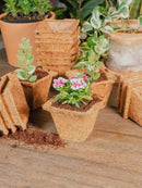 Coco Coir Seed Starter Germination Cups - 4 inches, 20 Pack by EnvelorHome